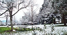 Alba Park, downtown Medford