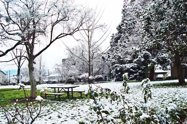 Alba Park Located in downtown Medford